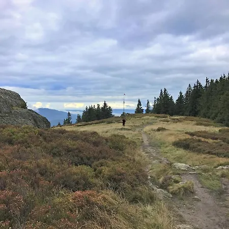 Сasa de vacaciones In Bayern Nahe Skiloipen & Sauna *